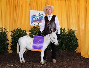 Ravenwood Frosted Fox