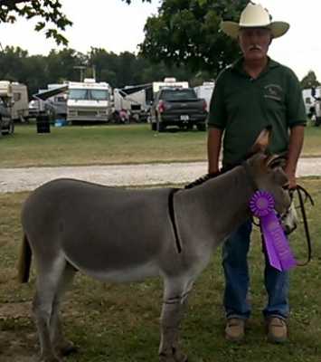 Morning Glory Dublin